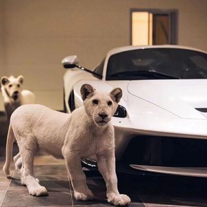 小樱被佐助扒开腿❌黄
