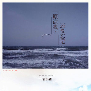 小樱被佐助扒开腿❌黄
